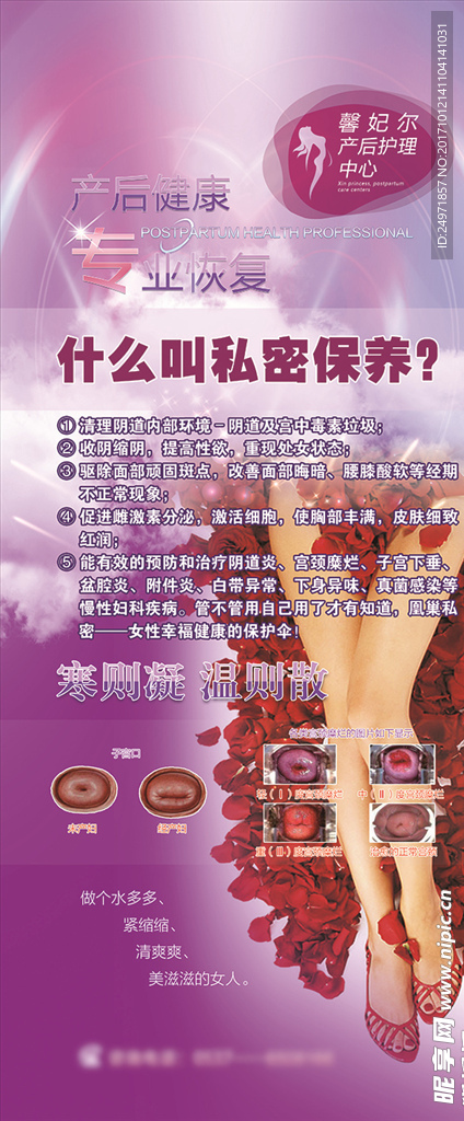 紫色私密展架