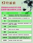 美容养生仪反应