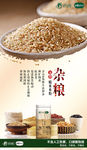 有机食材五谷杂粮海报