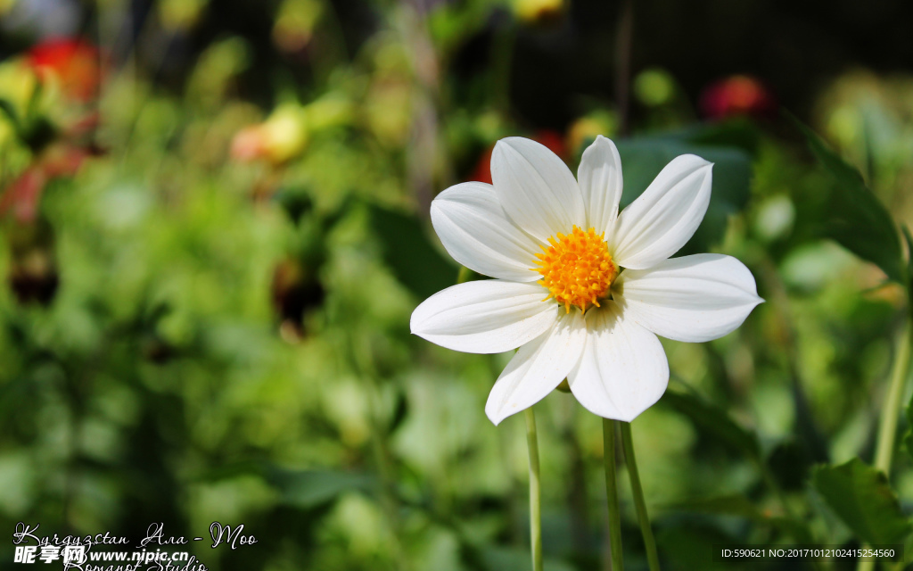 花