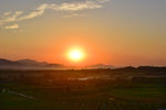 夕阳红