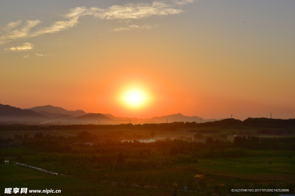 夕阳红