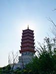 长春北湖湿地公园