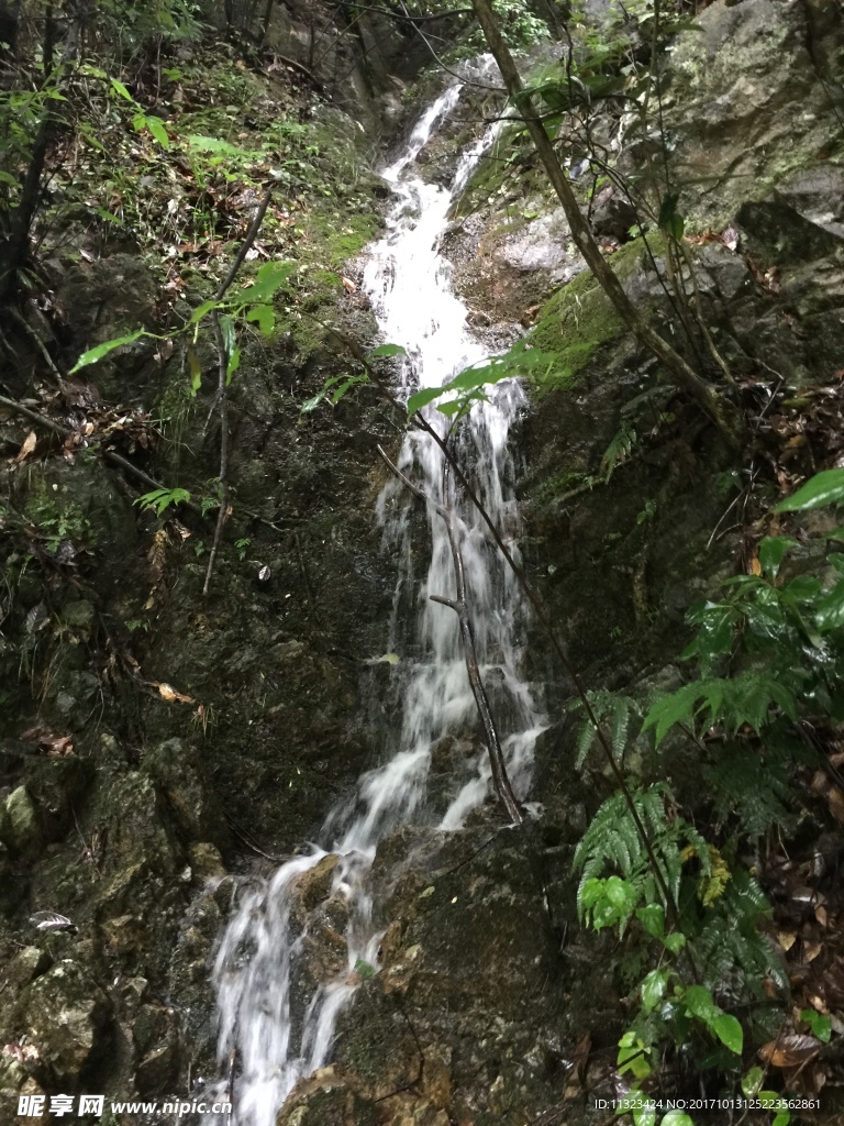 天目山风景
