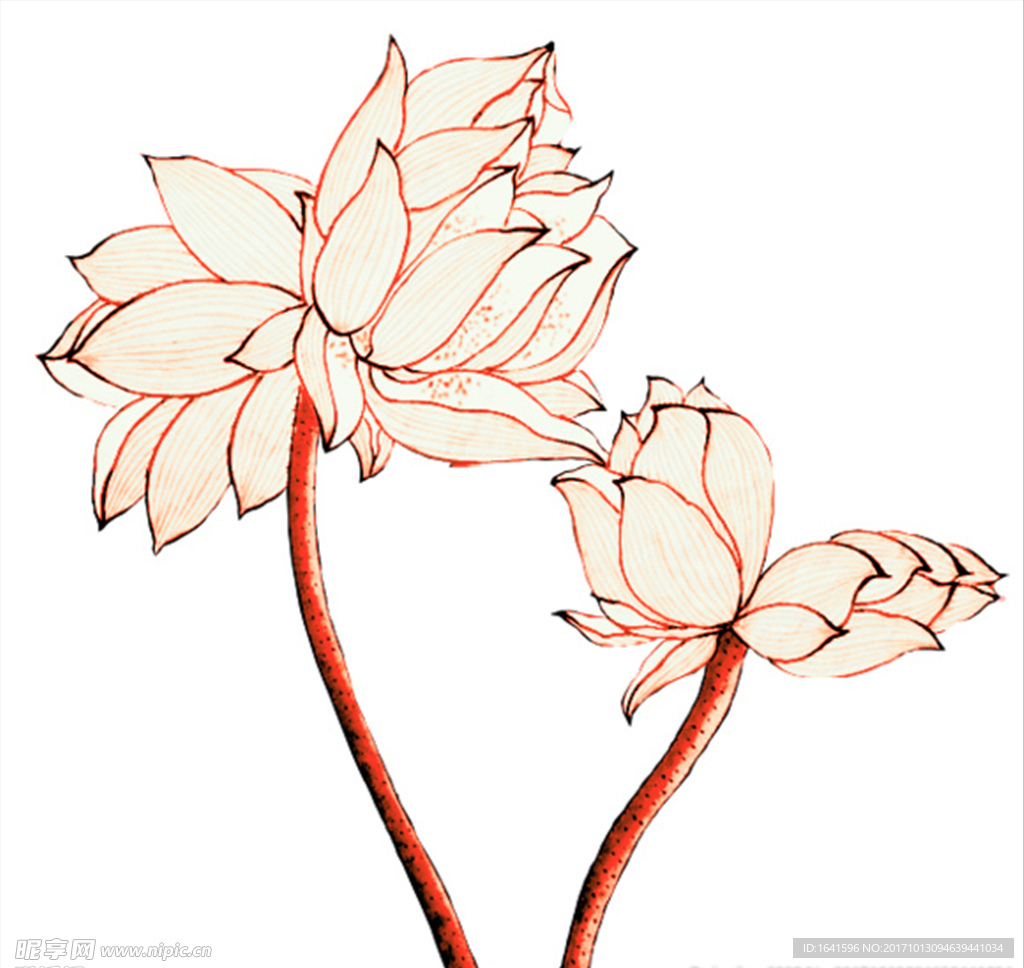 矢量莲花
