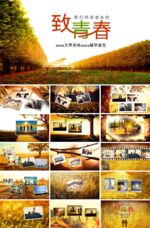 PPT模版