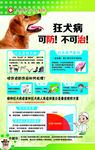 狂犬病可防不可治