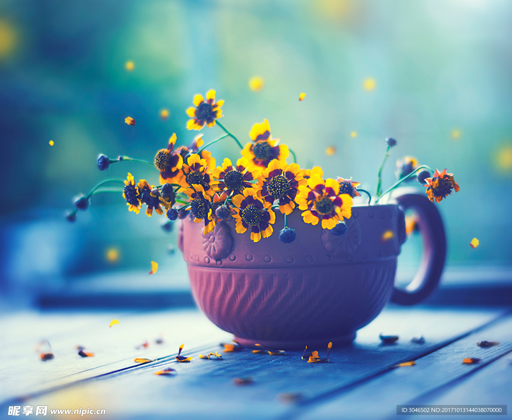紫色小花盆景
