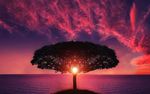夕阳