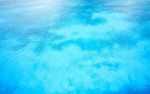 海水
