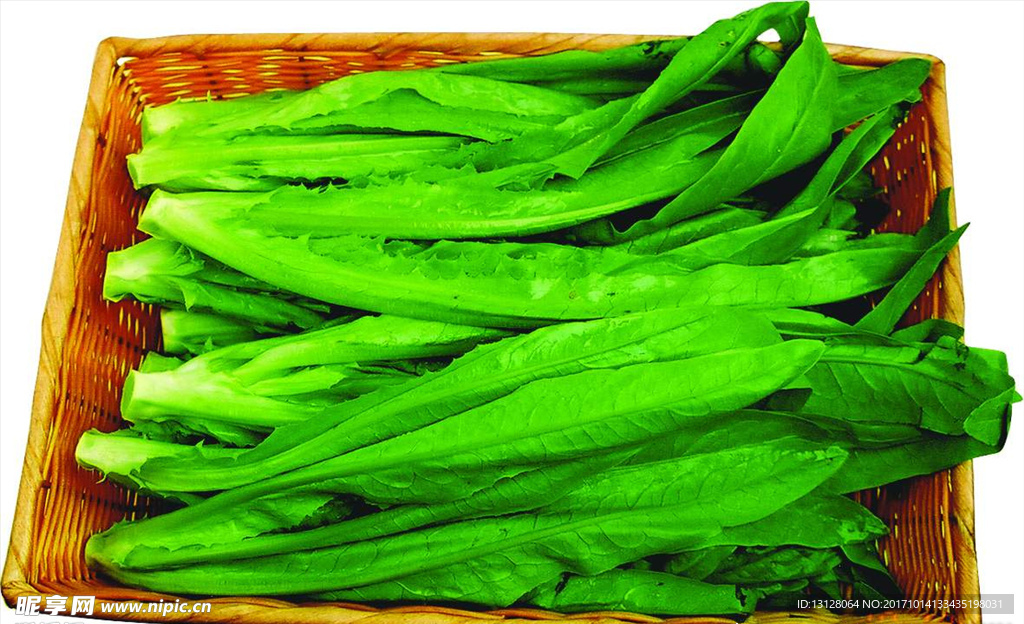 油麦菜