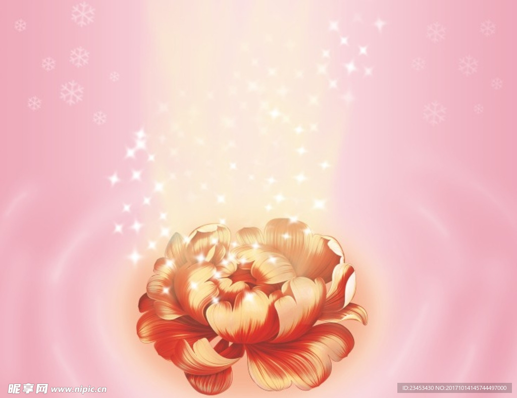 玫瑰花