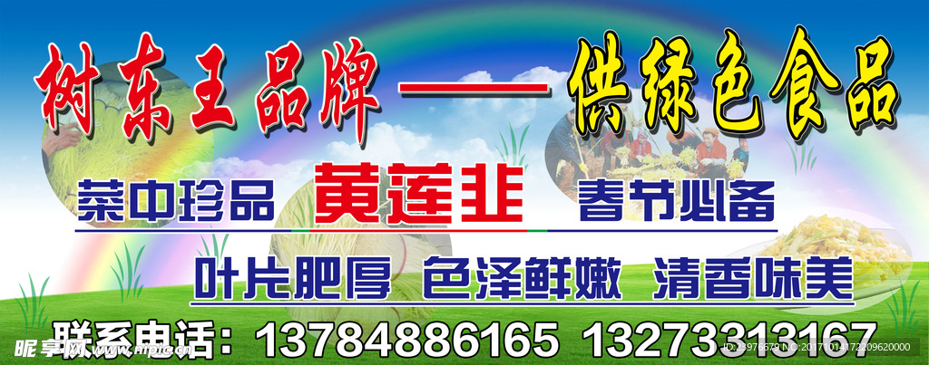 黄韭  喷绘