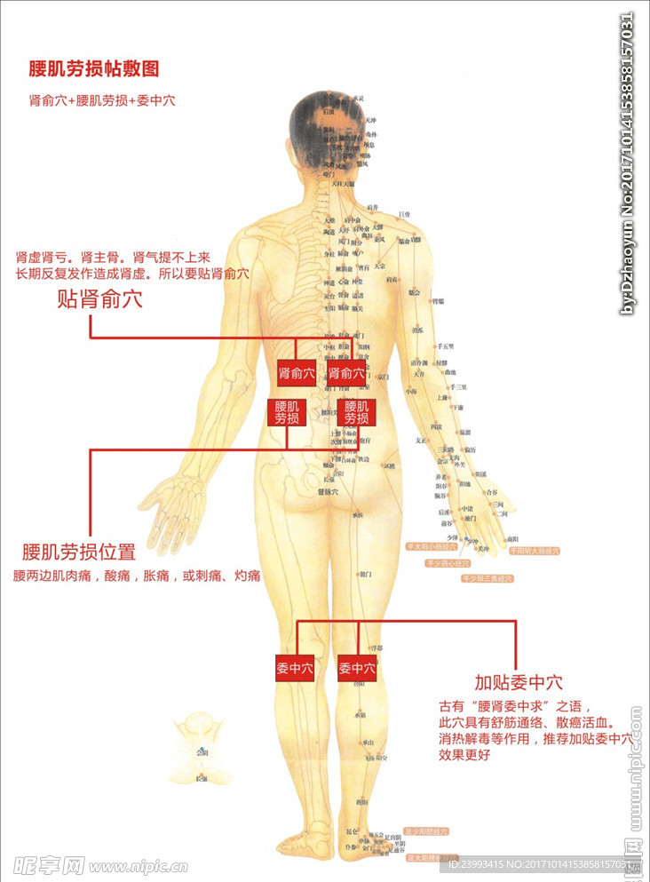 吕家传膏药