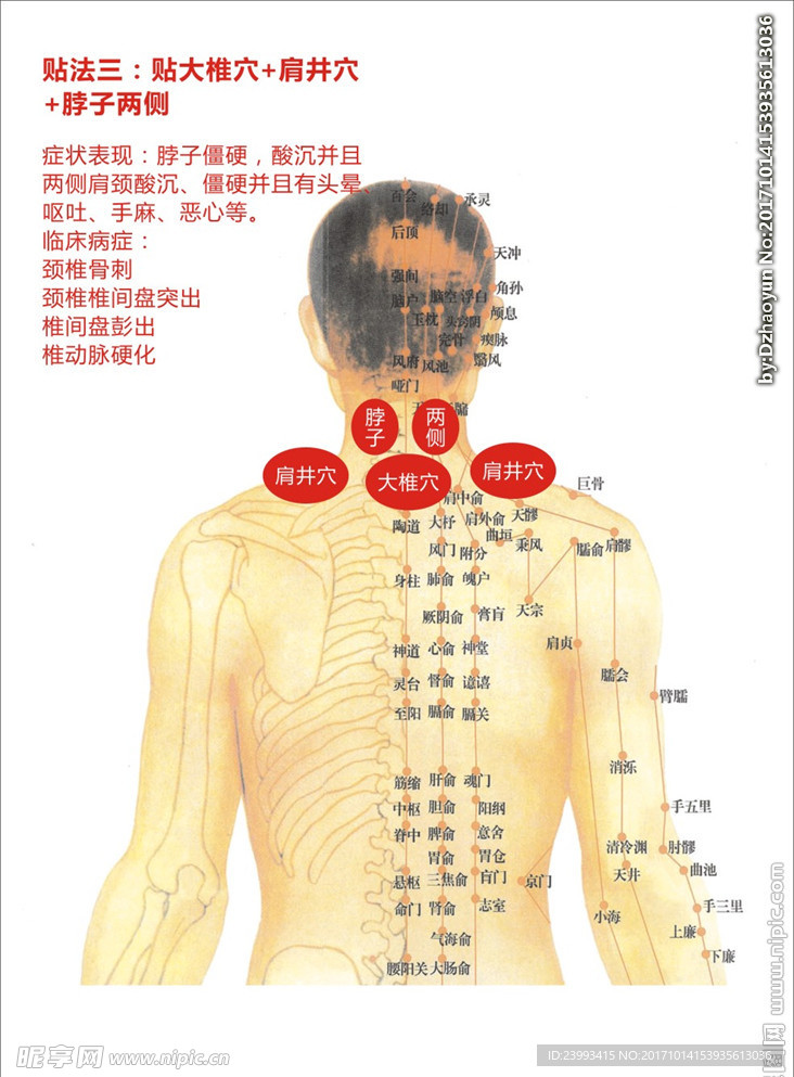 吕家传膏药