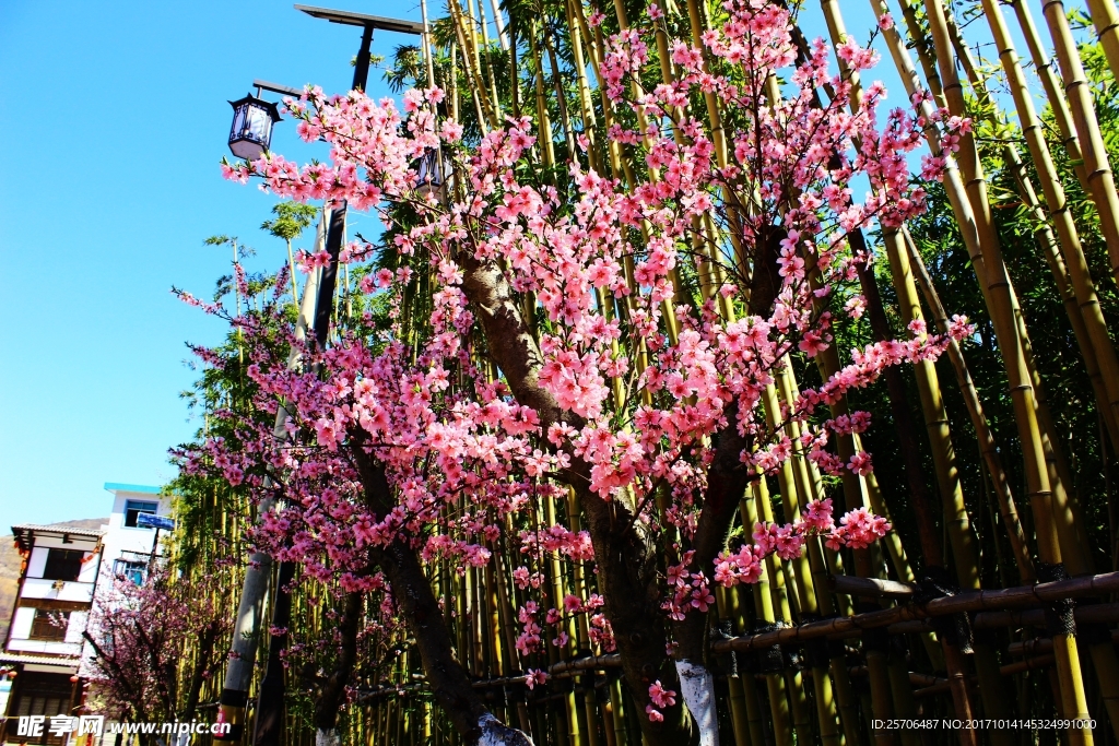 竹林关桃花谷