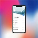 iPhoneX 手机样机海报