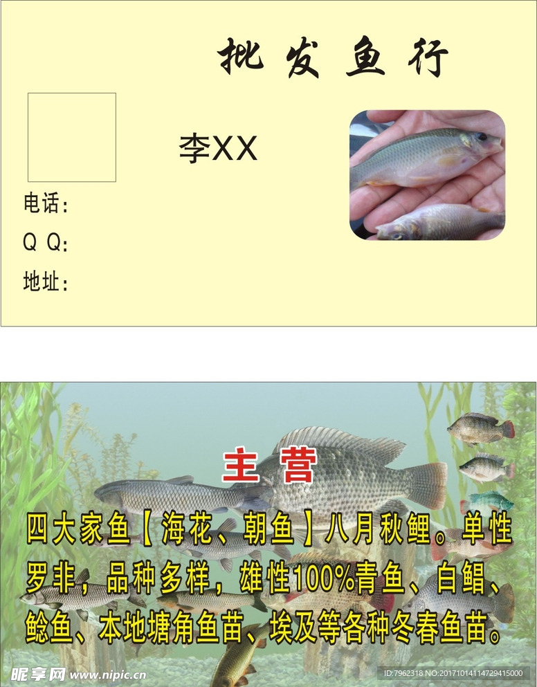 鱼行名片