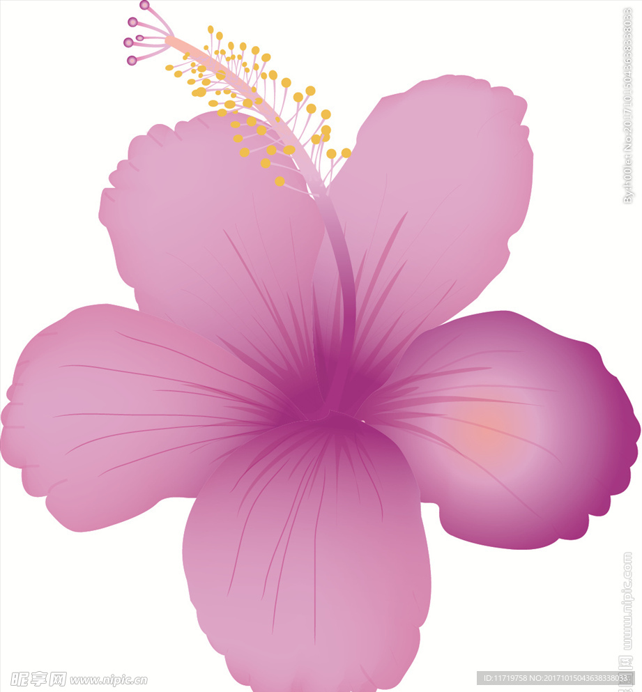 花瓣