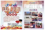 乒乓球培训  招生