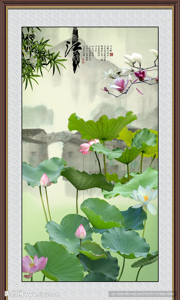 荷花图