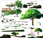 绿植
