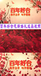 百年好合婚礼成品视频