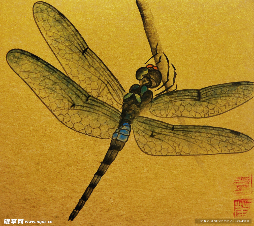 一只多彩的蜻蜓水彩画高清PNG素材