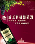 威龙有机葡萄酒