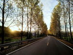 道路