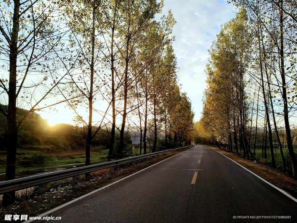 道路