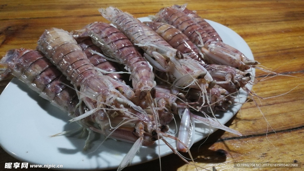 皮皮虾