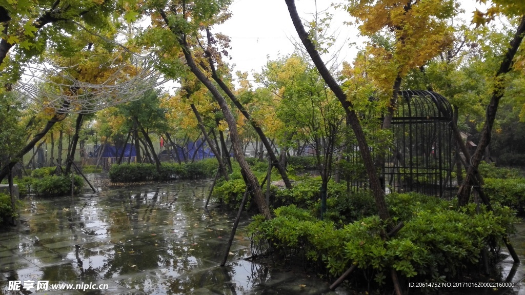 雨天的公园