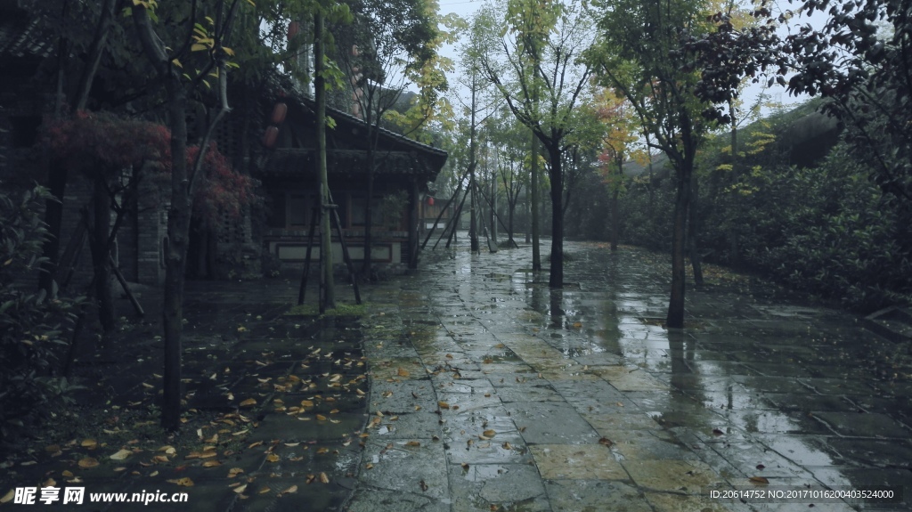 雨天的公园