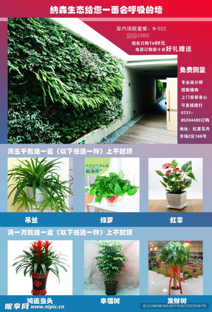 湖南植物墙 长沙植物墙 立体绿