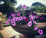 欧式花园