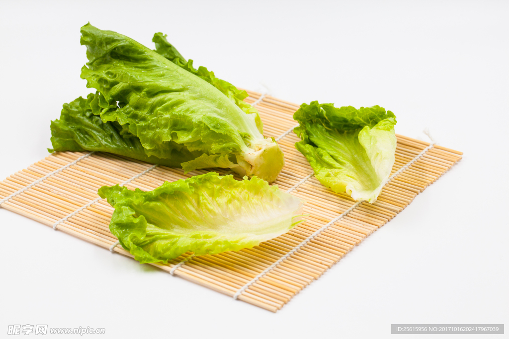 生菜