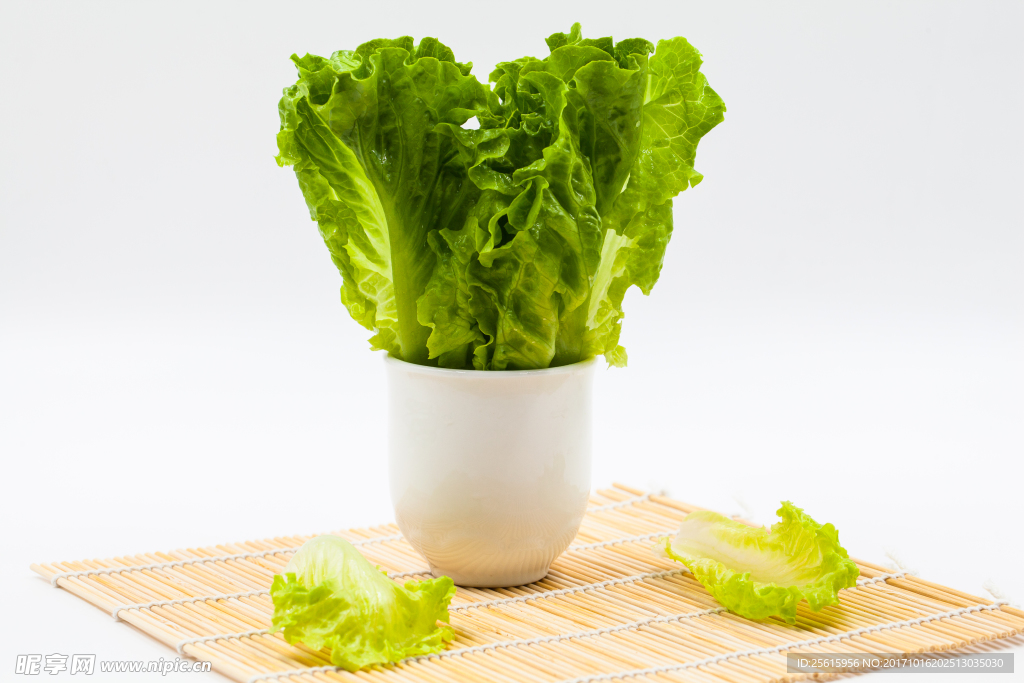 生菜