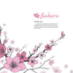 桃花花卉