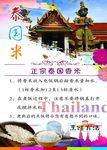 进口泰国米