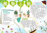 植物小报