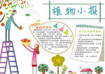 植物小报