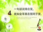 银网子