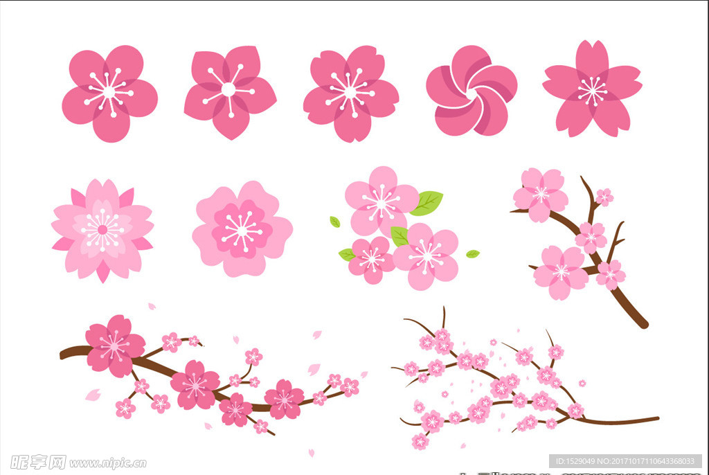 樱花