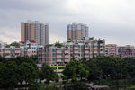 珠江畔