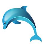 小海豚