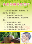 头部筋络