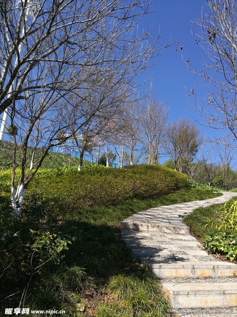 小路