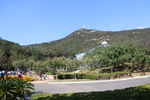 山