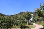 路